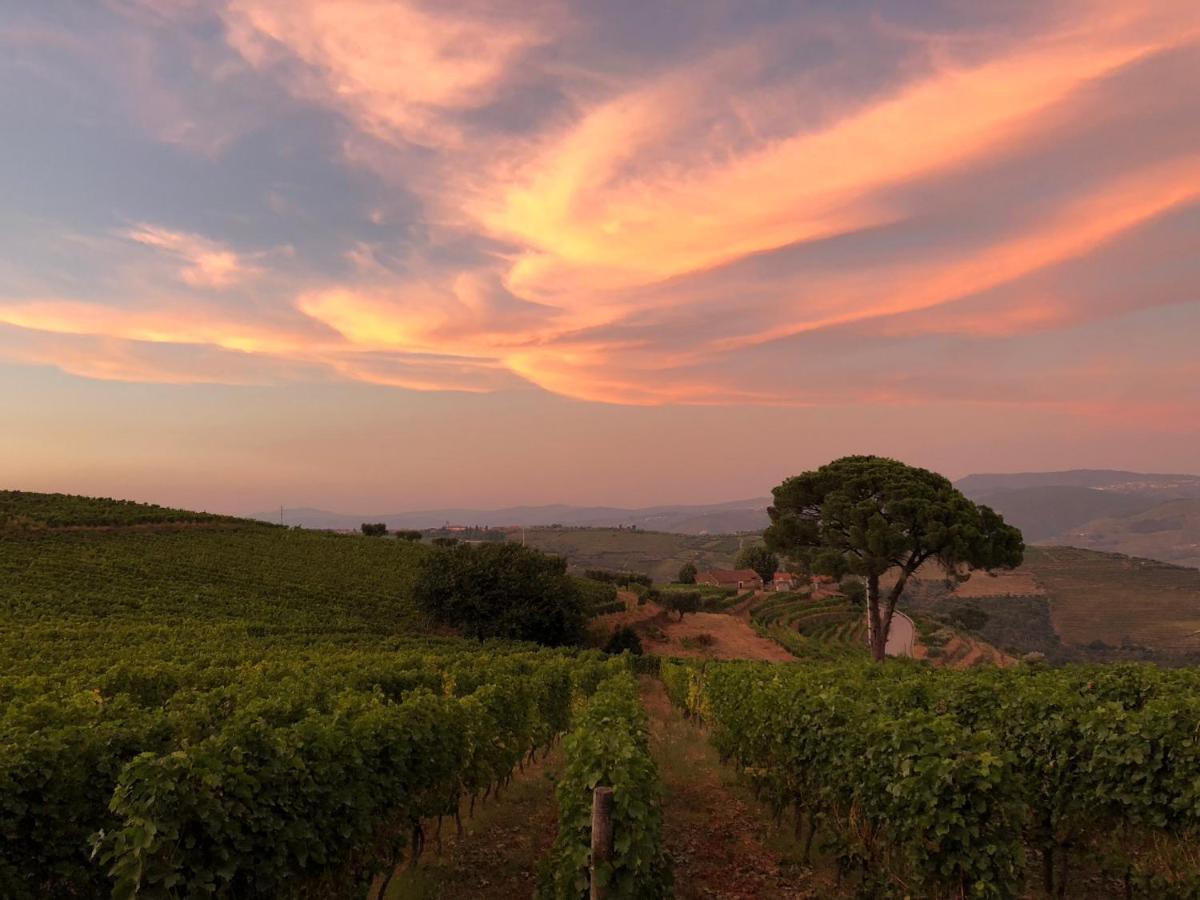 Quinta Dos Espinheiros Villa Provesende Exteriör bild