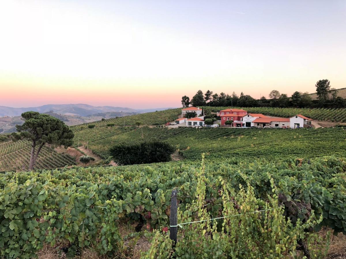 Quinta Dos Espinheiros Villa Provesende Exteriör bild