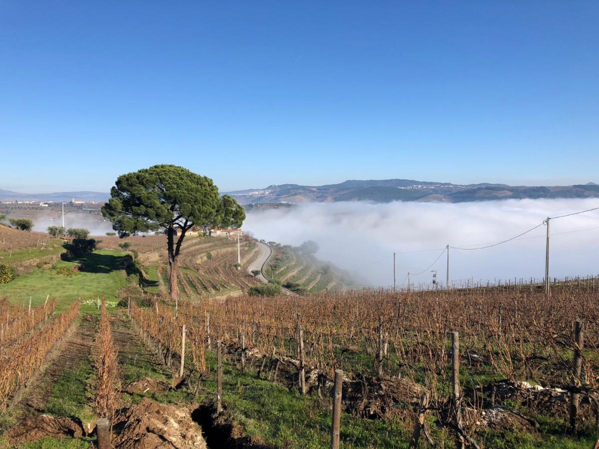 Quinta Dos Espinheiros Villa Provesende Exteriör bild