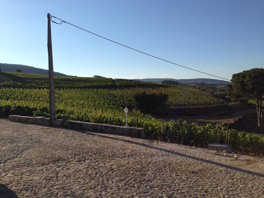 Quinta Dos Espinheiros Villa Provesende Rum bild