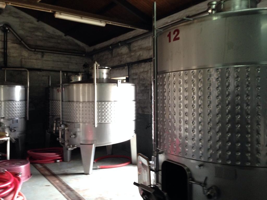 Quinta Dos Espinheiros Villa Provesende Rum bild