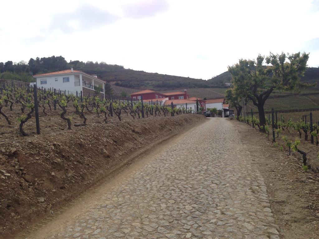 Quinta Dos Espinheiros Villa Provesende Rum bild