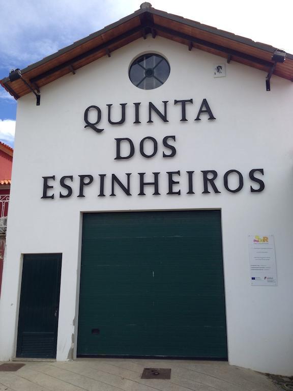 Quinta Dos Espinheiros Villa Provesende Rum bild