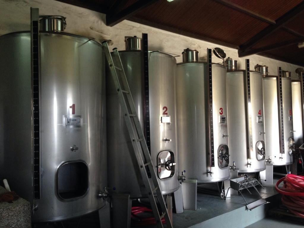 Quinta Dos Espinheiros Villa Provesende Rum bild
