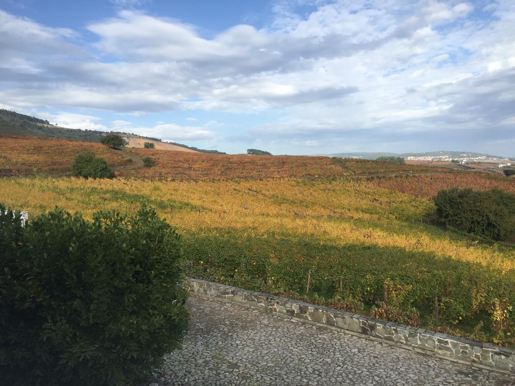 Quinta Dos Espinheiros Villa Provesende Exteriör bild