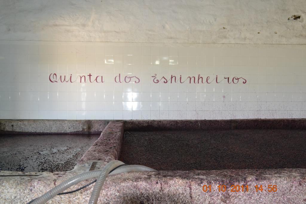 Quinta Dos Espinheiros Villa Provesende Exteriör bild