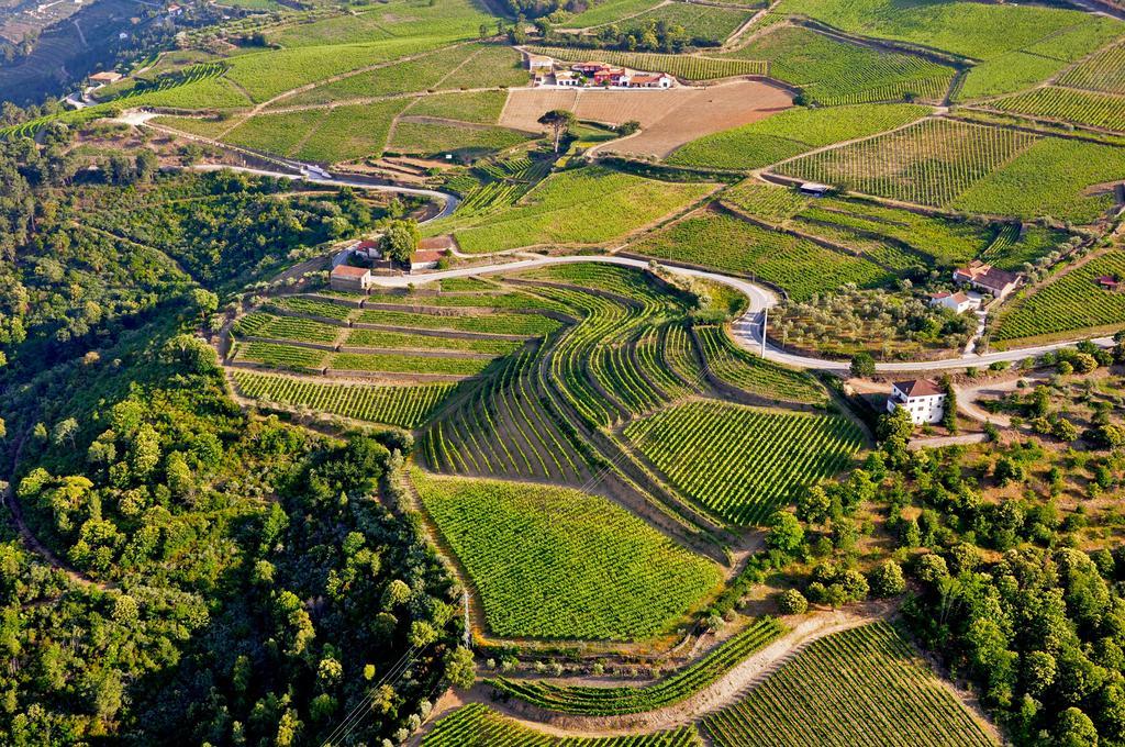 Quinta Dos Espinheiros Villa Provesende Exteriör bild