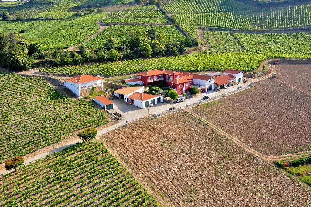 Quinta Dos Espinheiros Villa Provesende Exteriör bild