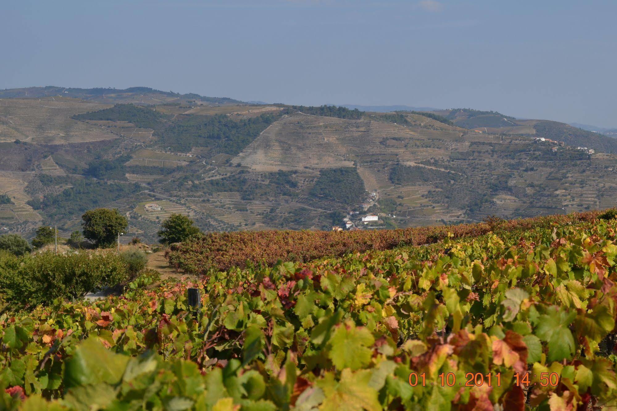 Quinta Dos Espinheiros Villa Provesende Exteriör bild