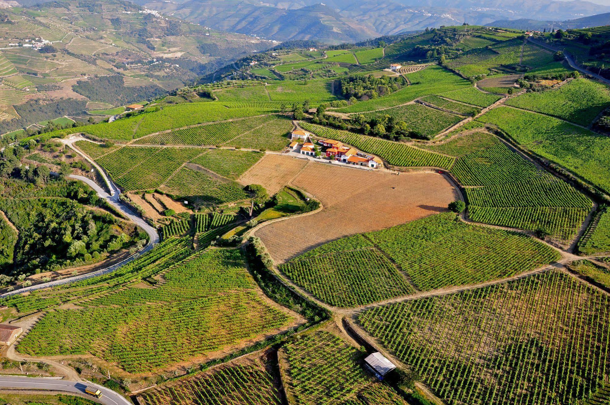 Quinta Dos Espinheiros Villa Provesende Exteriör bild