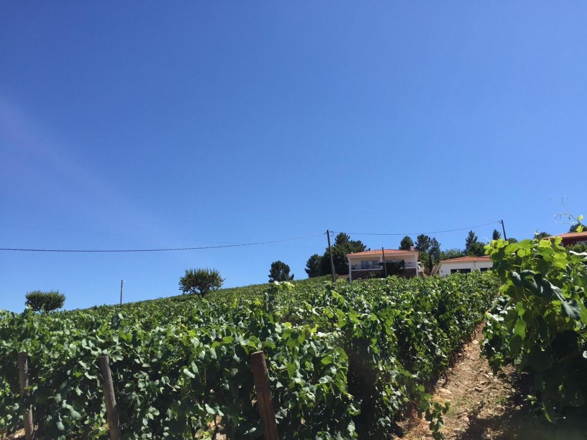 Quinta Dos Espinheiros Villa Provesende Rum bild
