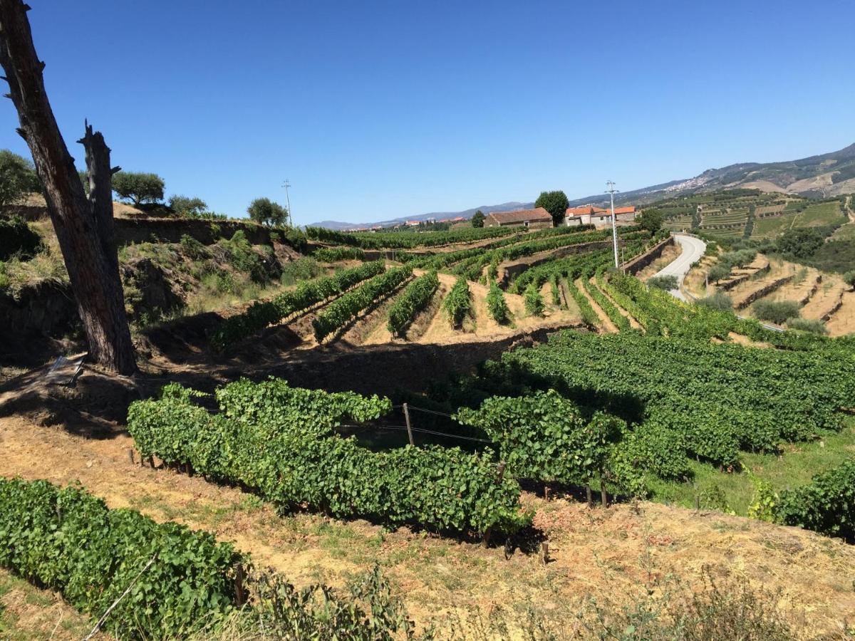 Quinta Dos Espinheiros Villa Provesende Rum bild