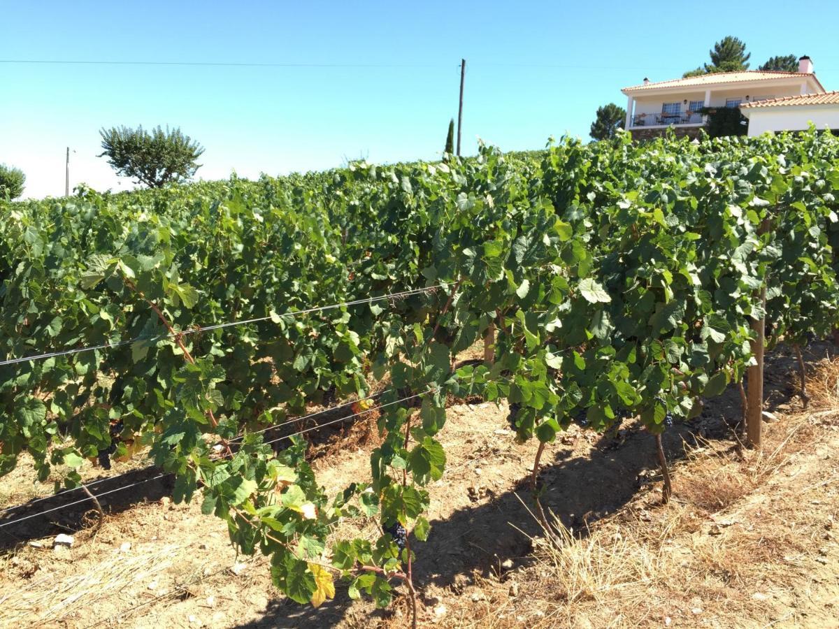 Quinta Dos Espinheiros Villa Provesende Rum bild