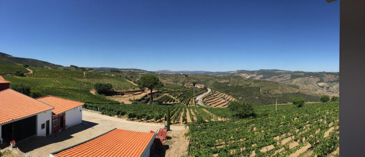 Quinta Dos Espinheiros Villa Provesende Rum bild