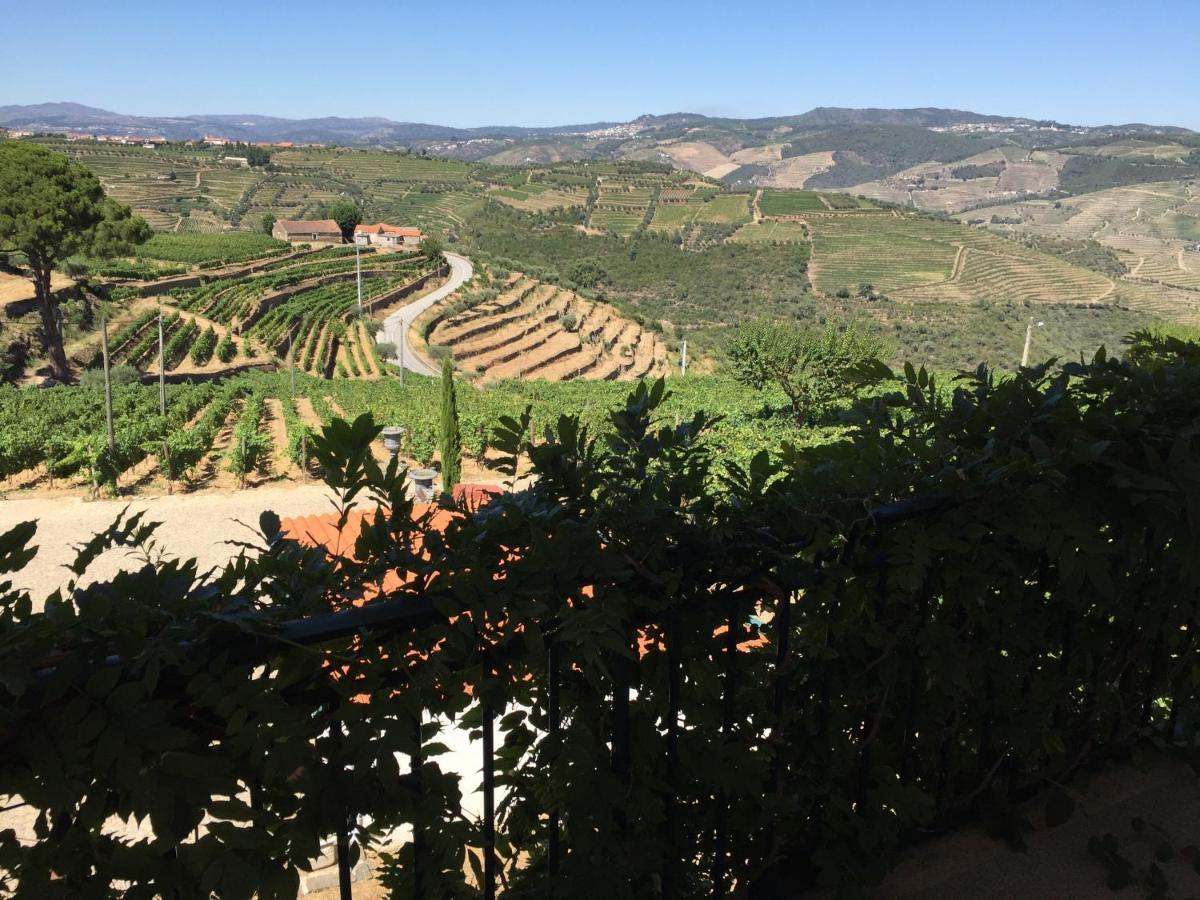 Quinta Dos Espinheiros Villa Provesende Rum bild