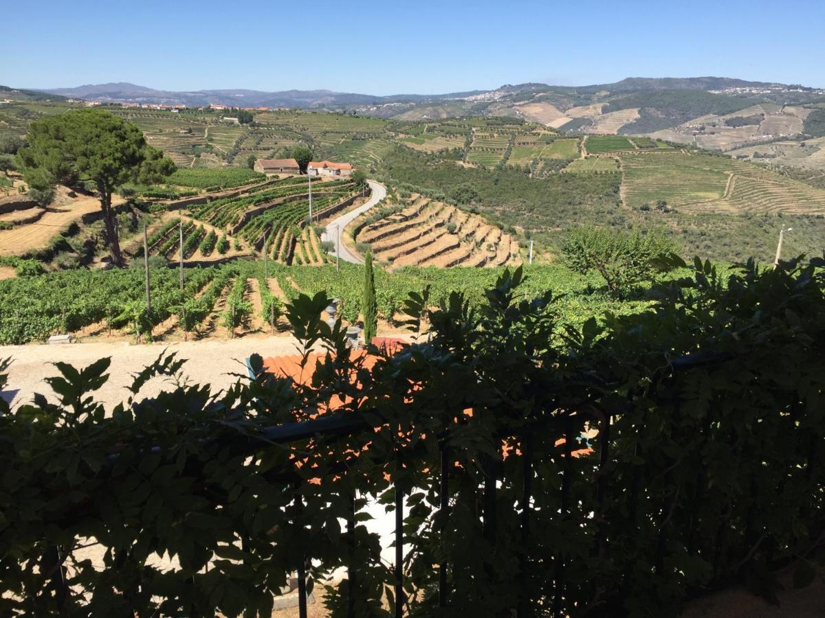 Quinta Dos Espinheiros Villa Provesende Rum bild