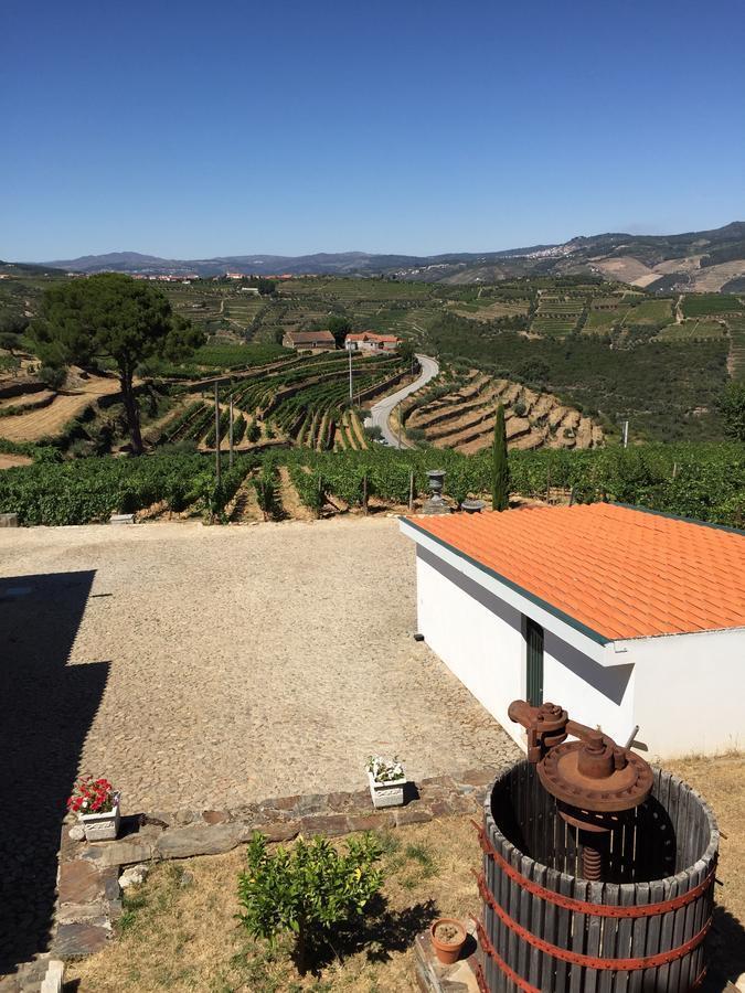 Quinta Dos Espinheiros Villa Provesende Rum bild